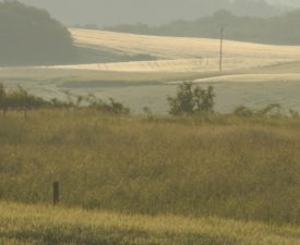 Augen-Blicke auf die Eifel